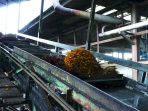 mesin-conveyor-chain-pabrik-kelapa-sawit-71